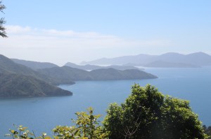 Stunning vistas over the Marlborough Sounds from one of the many vantage points along the Queen Charlotte Track.