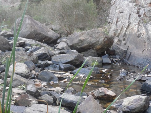 The rock face you need to traverse when hiking the Werribee Gorge.