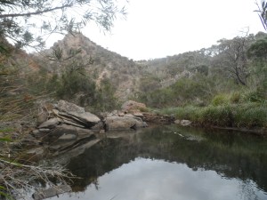 Reflections in the water of the stream at the bottom of Werribee Gorge.