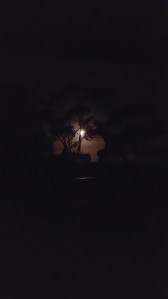 Yanakie by moonlight.