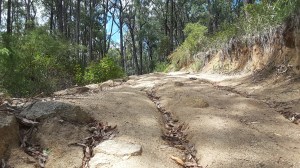 Climbing the steepest part of the Nichols Hut Track towards the Four Brothers Rocks.